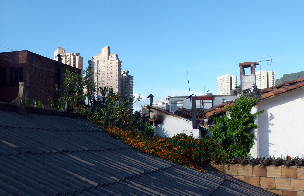 Hostal Chorro De Quevedo Bogotá Exteriör bild