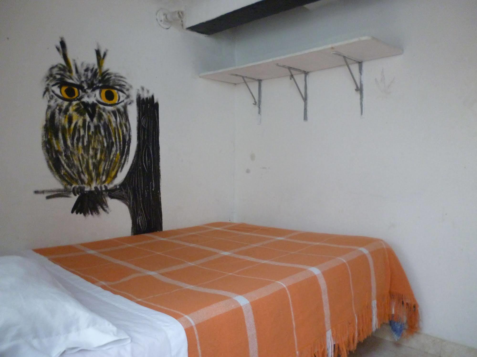 Hostal Chorro De Quevedo Bogotá Exteriör bild